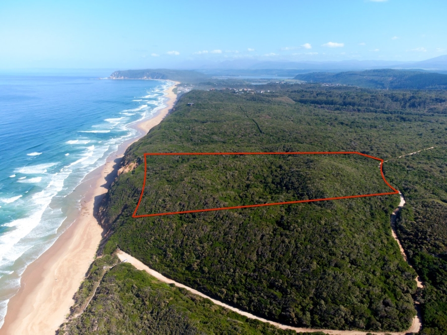 Commercial Property for Sale in Sedgefield Rural Western Cape